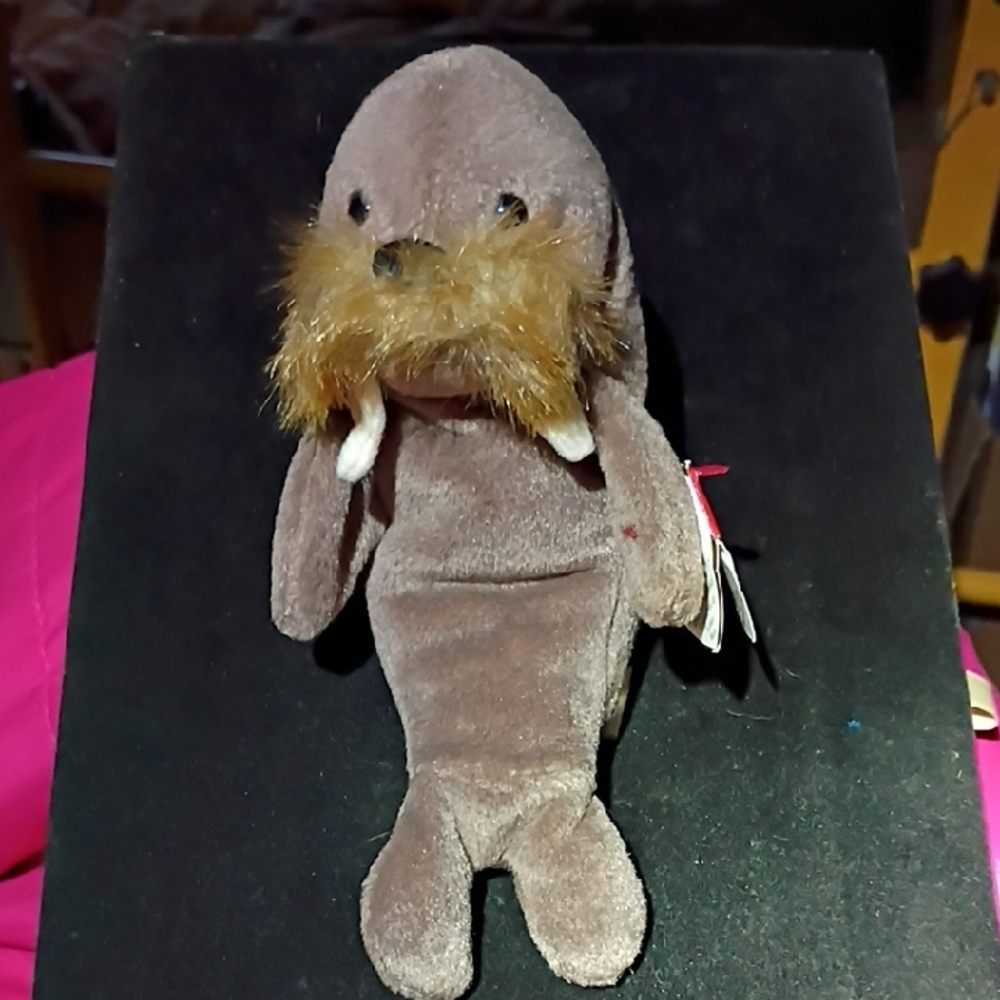 TY Plush Walrus Toy (Jolly)